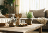 Sustainable gift ideas featuring reusable jars, wooden utensils, and a potted plant on a cozy coffee table