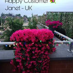 Artificial Hanging Flowers